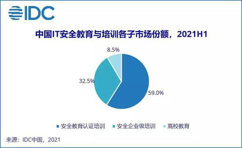 IDC報(bào)告揭示 2021上半年中國(guó)網(wǎng)絡(luò)安全服務(wù)市場(chǎng)迎爆發(fā)，網(wǎng)絡(luò)與信息安全軟件開(kāi)發(fā)成核心引擎